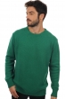 Cachemire pull homme col rond bilal vert anglais s