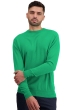 Cachemire pull homme col rond nestor new green m
