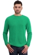 Cachemire pull homme col rond taima new green 4xl
