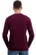 Cachemire pull homme col rond touraine first bordeaux s