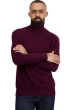 Cachemire pull homme col roule torino first bordeaux s