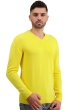 Cachemire pull homme col v tour first daffodil 3xl