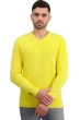 Cachemire pull homme col v tour first daffodil l