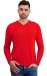 Cachemire pull homme col v tour first tomato m